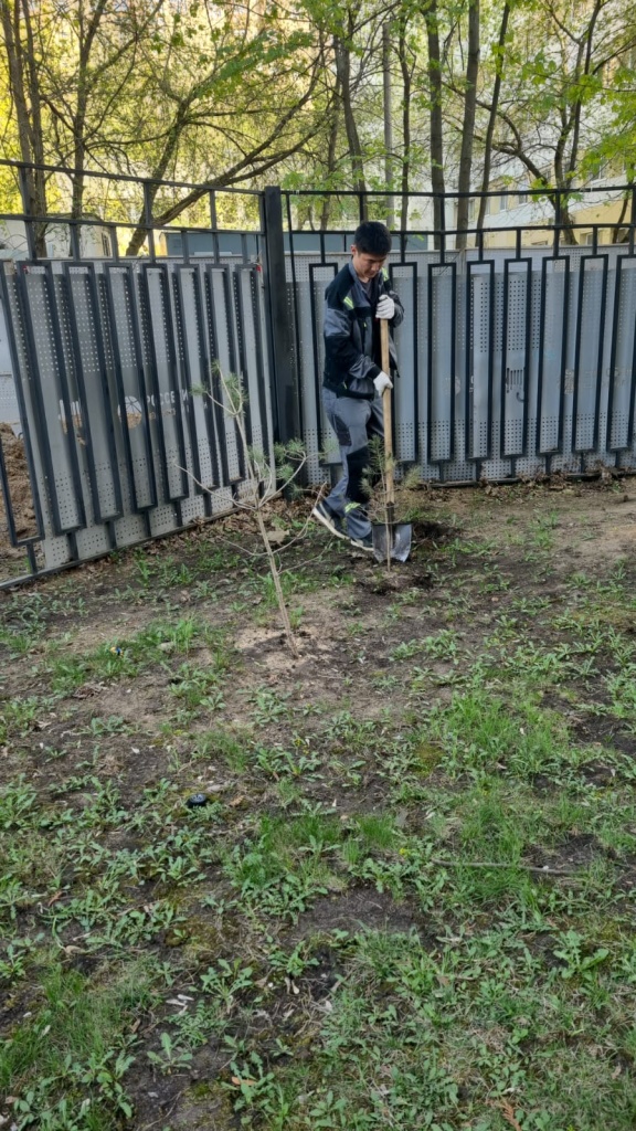 1000053093.jpg